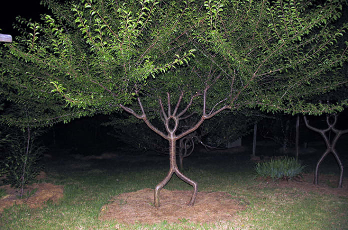 Art For Trees Indiegogo