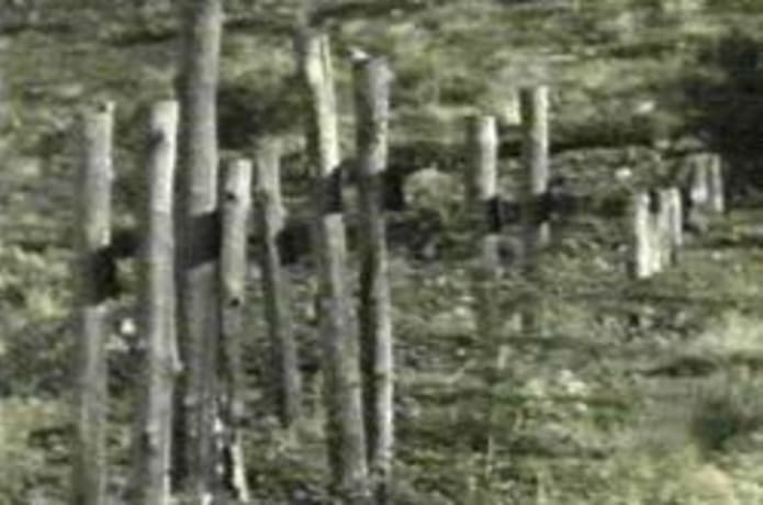 Gulag Barashevo Indiegogo