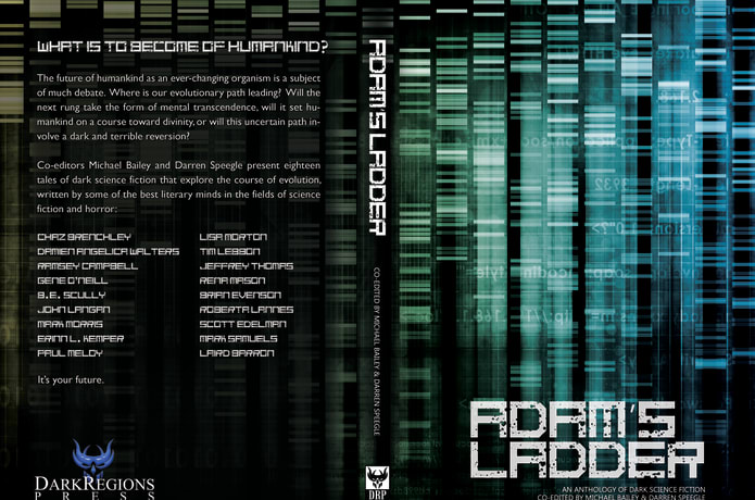 Adam S Ladder Indiegogo