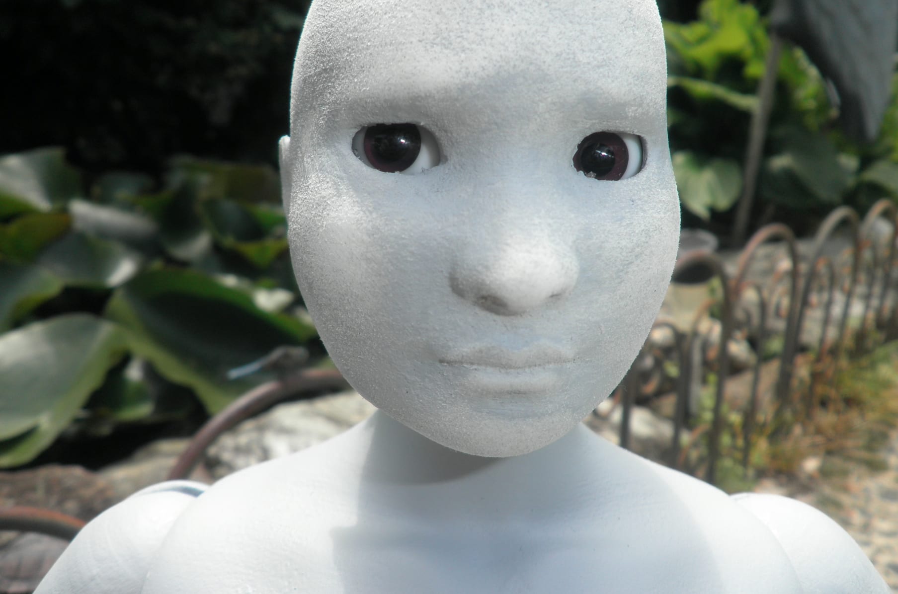 Chubby bjd top