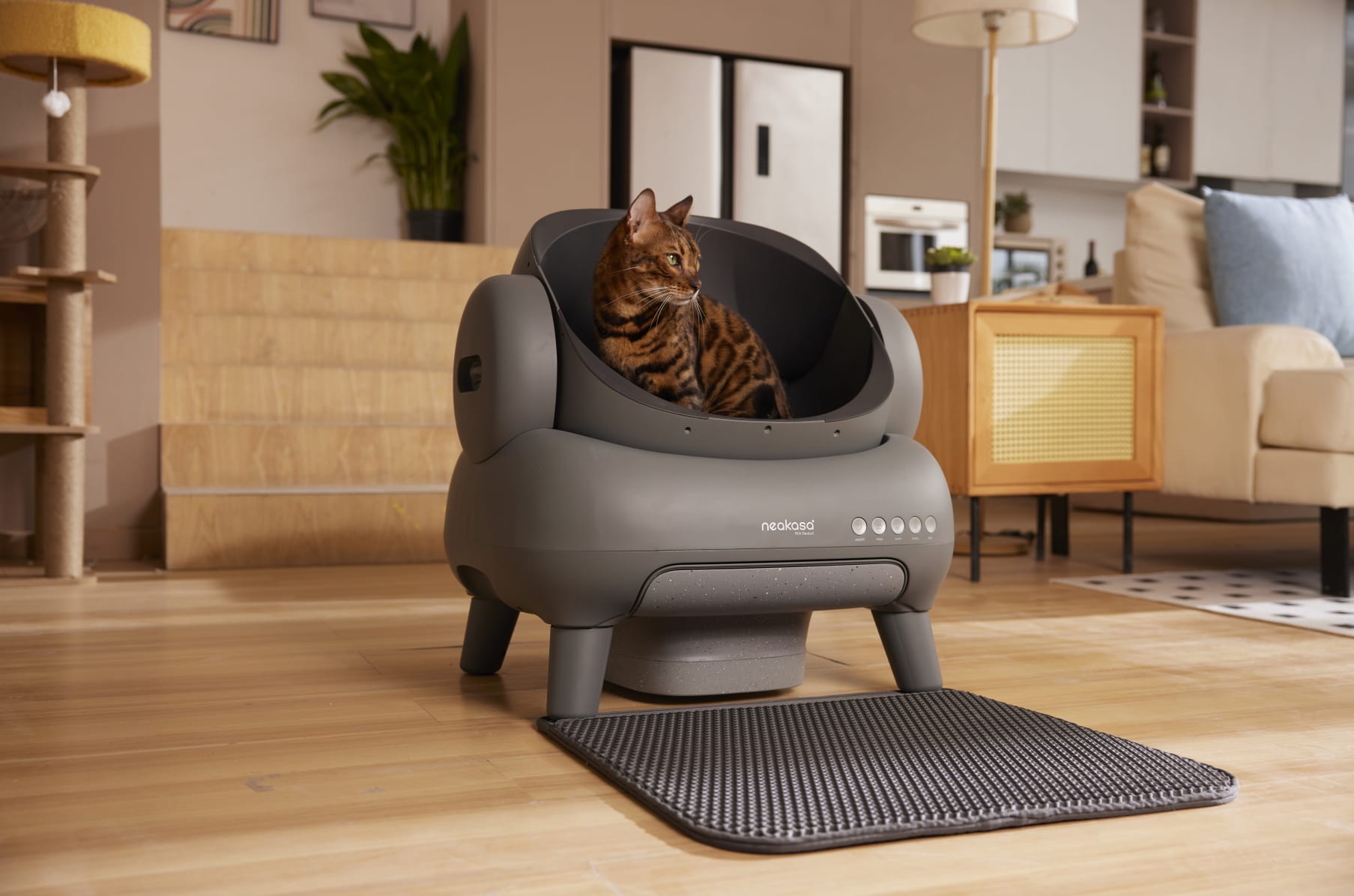 Cat toilet design store