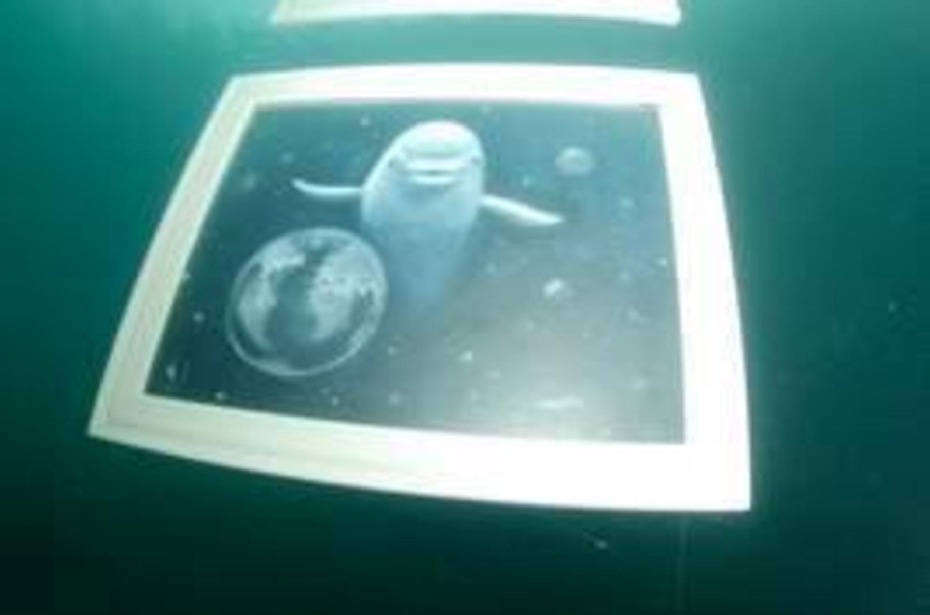 Aquart Indiegogo