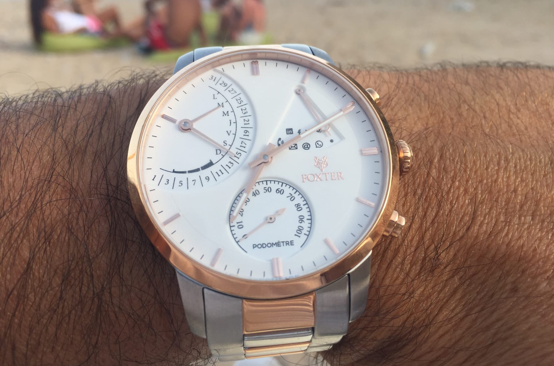 Foxter discount watch price