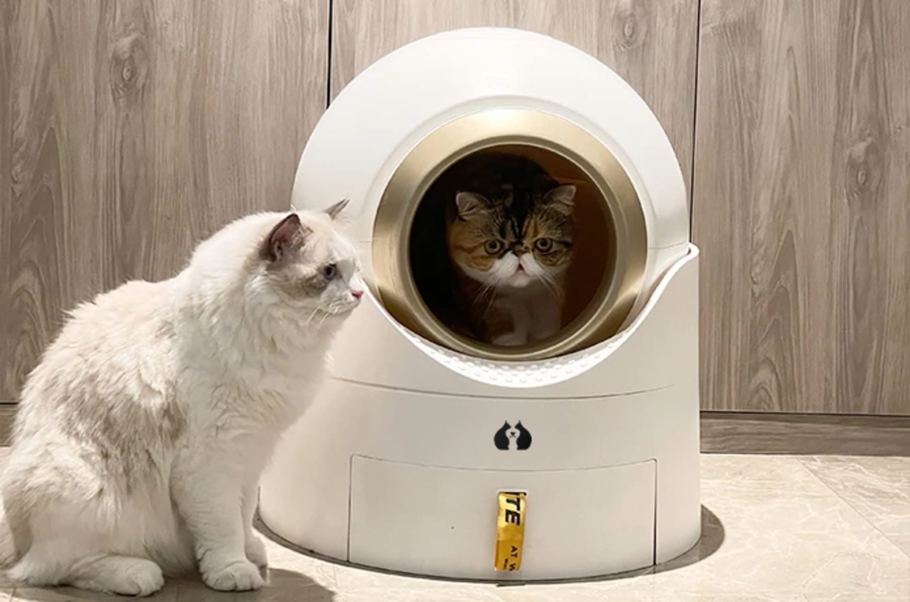 Woof N Meow The Smart Semi auto Litter Box Indiegogo