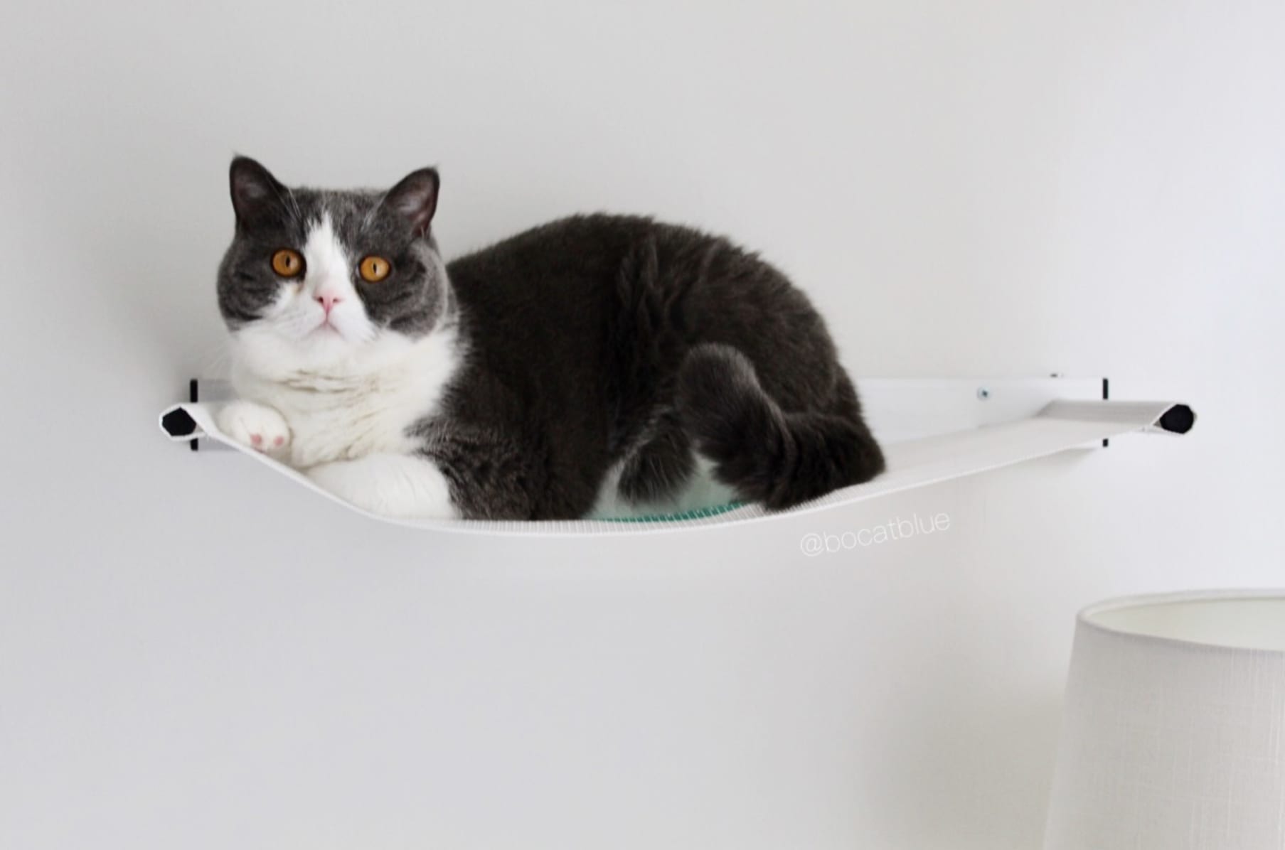 Wall Mounted Cat Scratcher By Catipilla Indiegogo