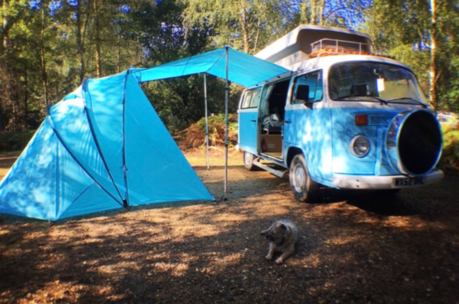 Sheltapod on sale