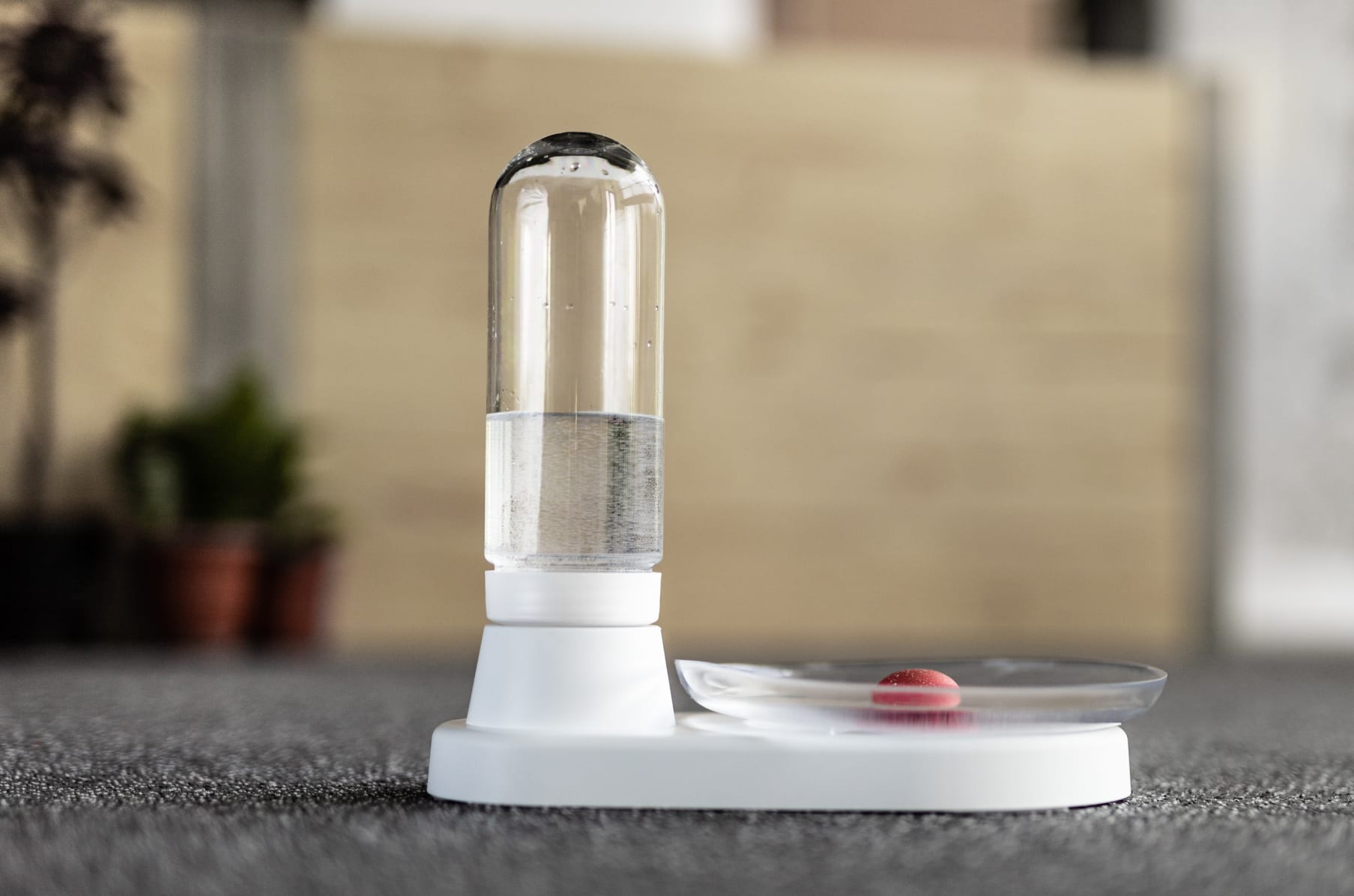 Cat water fountain sales non electric