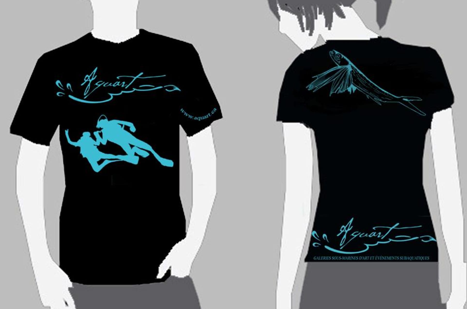 Aquart Indiegogo
