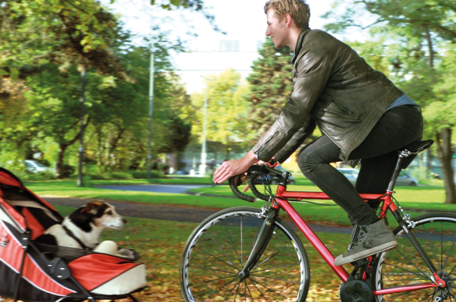 bimoz electric bike kit