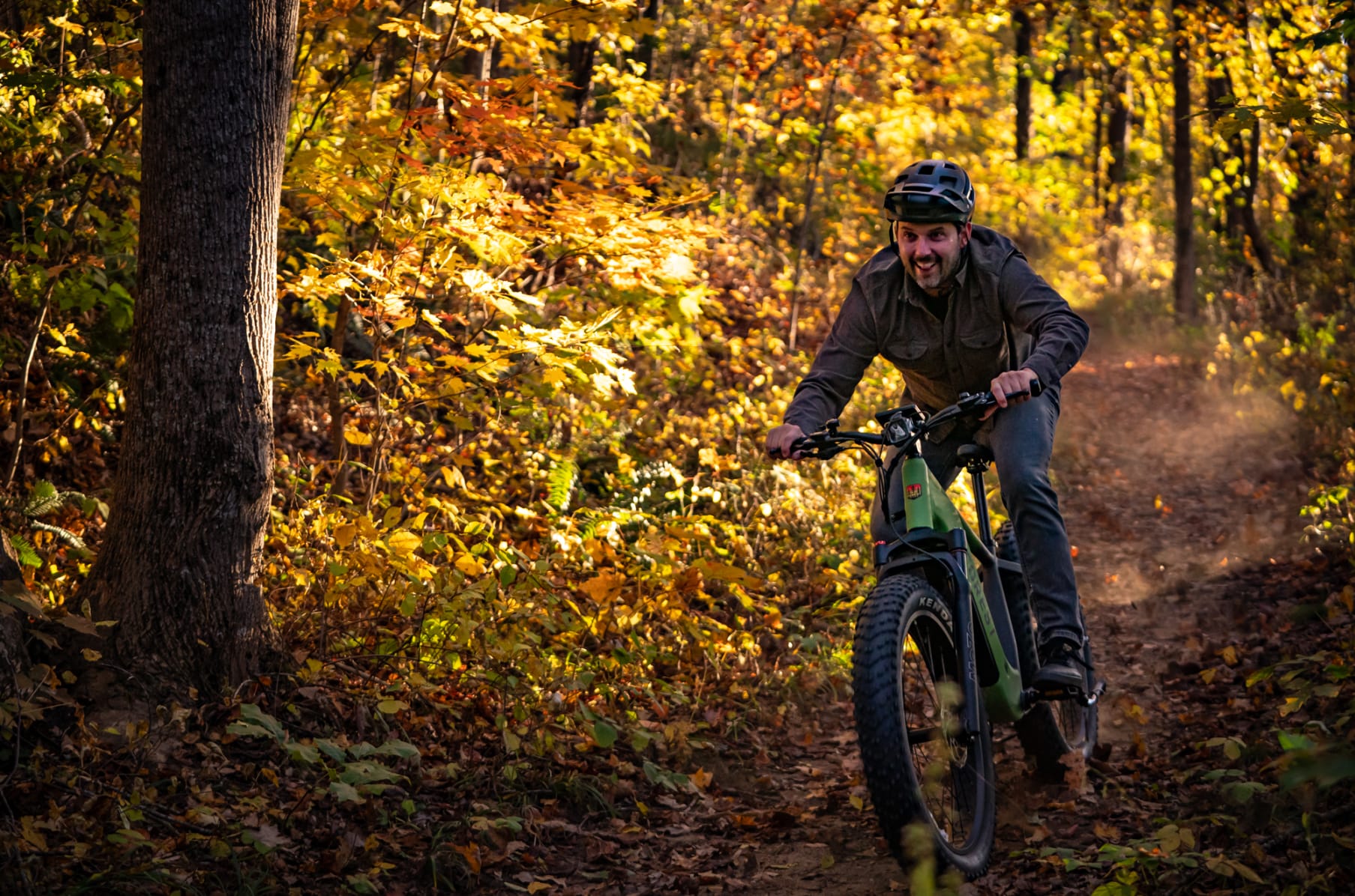 Forest bike online