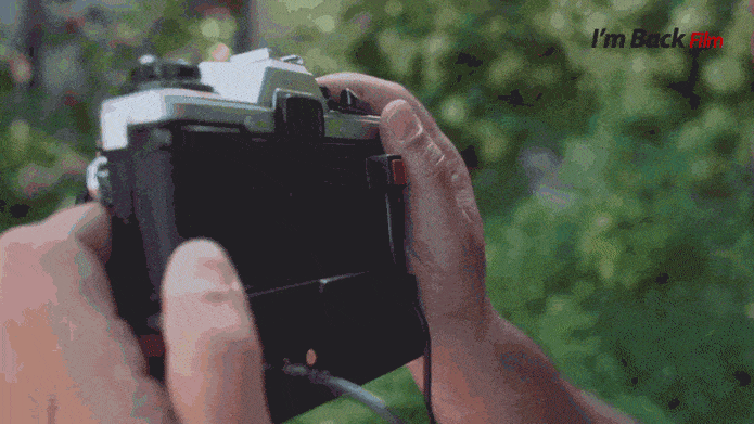 デジタルカメラ Yashica I'm Back Film Micro Mirrorless Yashica Im Back | Indiegogo