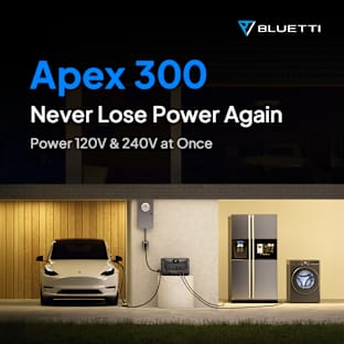 Apex 300