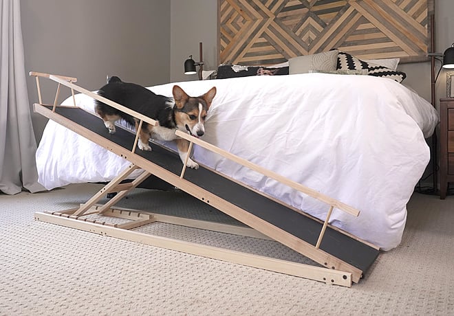 DoggoRamps 2.0 The Best Bed Ramps for Small Dogs Indiegogo
