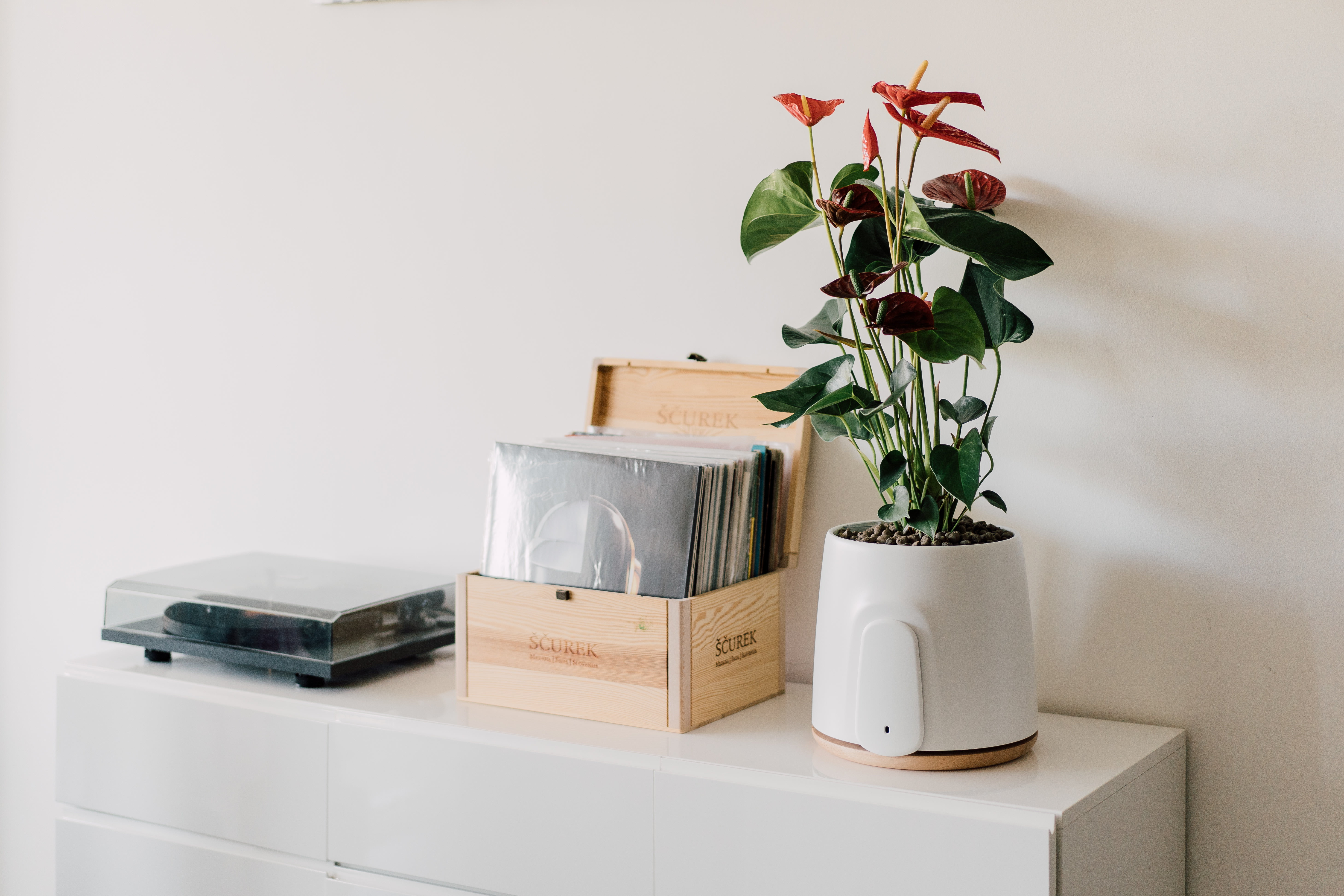 Natede air shop purifier