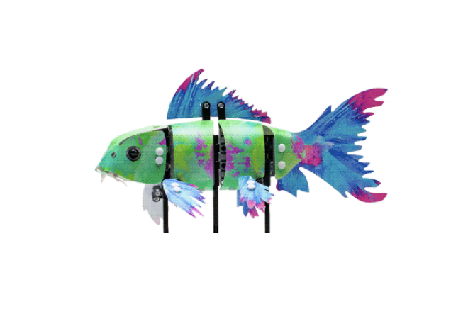 Lego forma hotsell fish