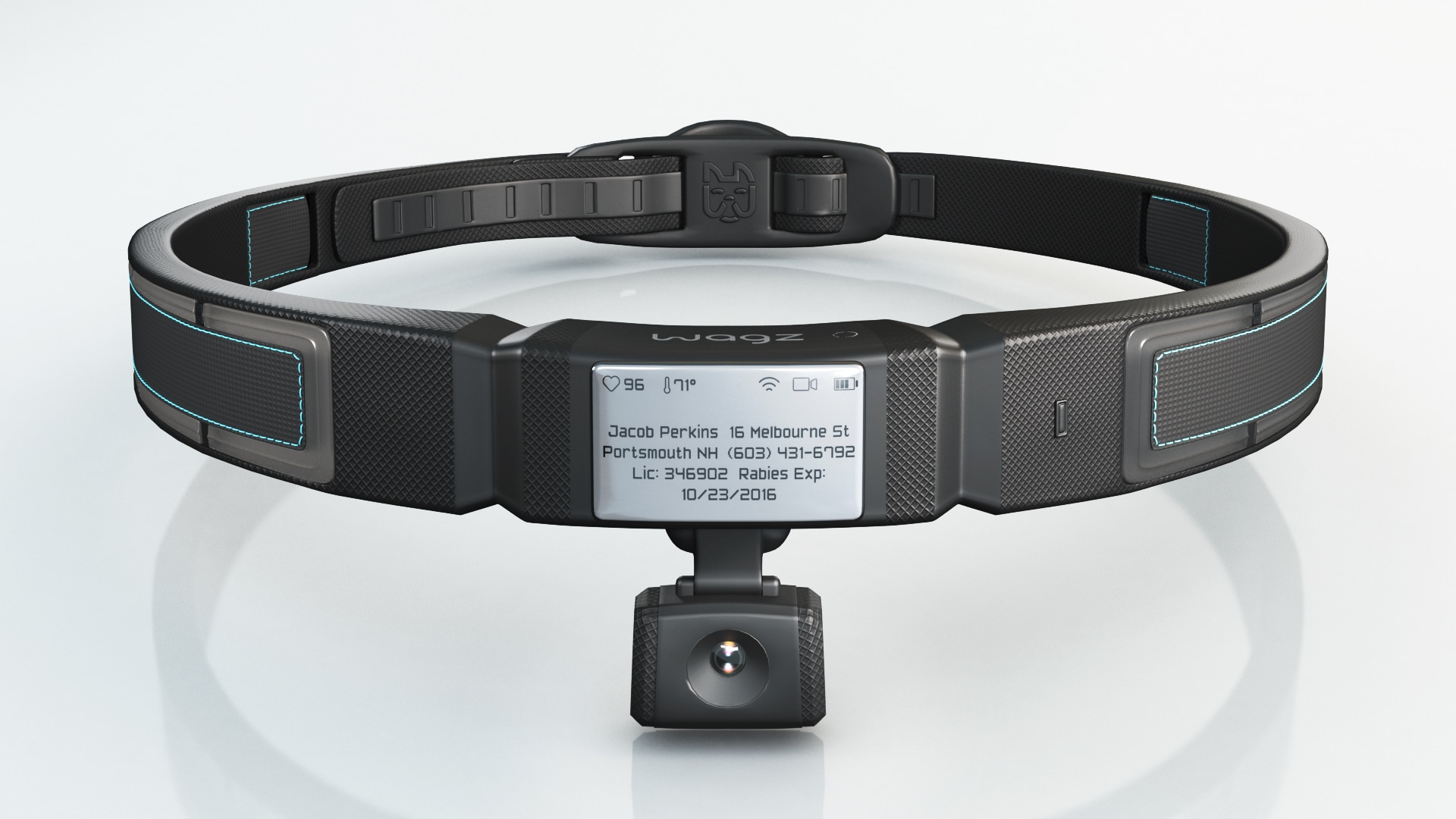 Wagz smart collar Clearance