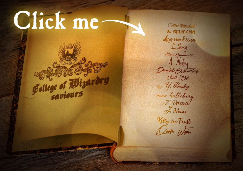 Save College Of Wizardry Indiegogo