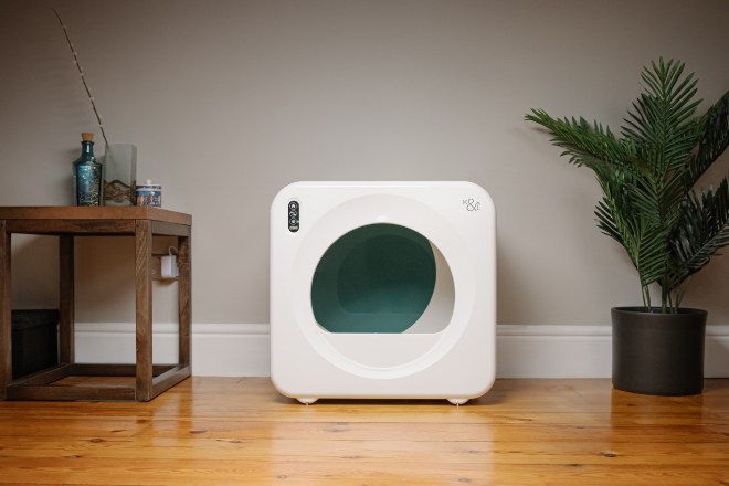 self cleaning litter trays