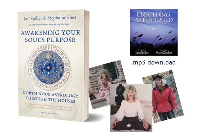 Help Me Finish Jan Spiller's Final Book | Indiegogo