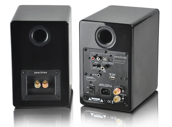active speakers with phono input
