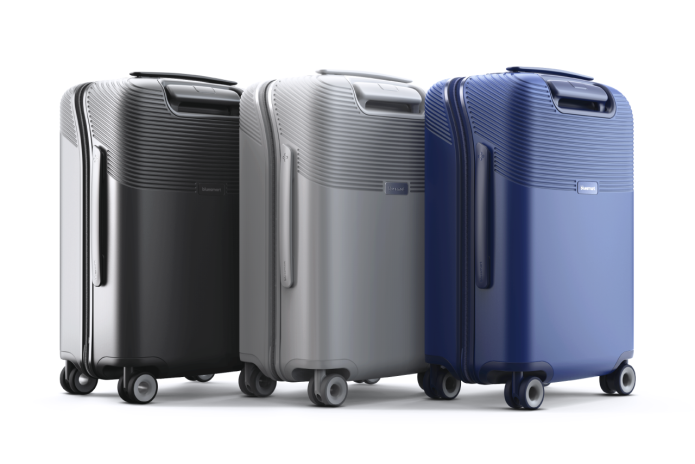 bluesmart suitcase price