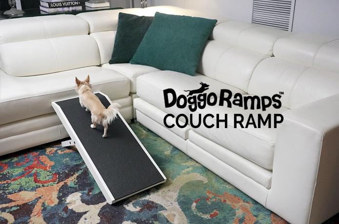 indiegogo dog ramp