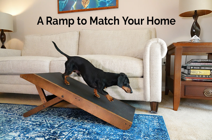 indiegogo dog ramp