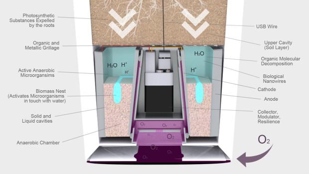 Internal Structure 1 Pq6Kdk مجلة نقطة العلمية