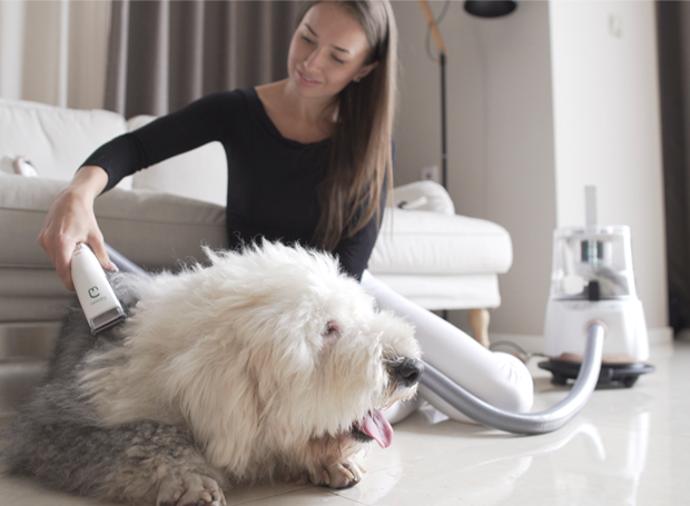 fur pal grooming spa