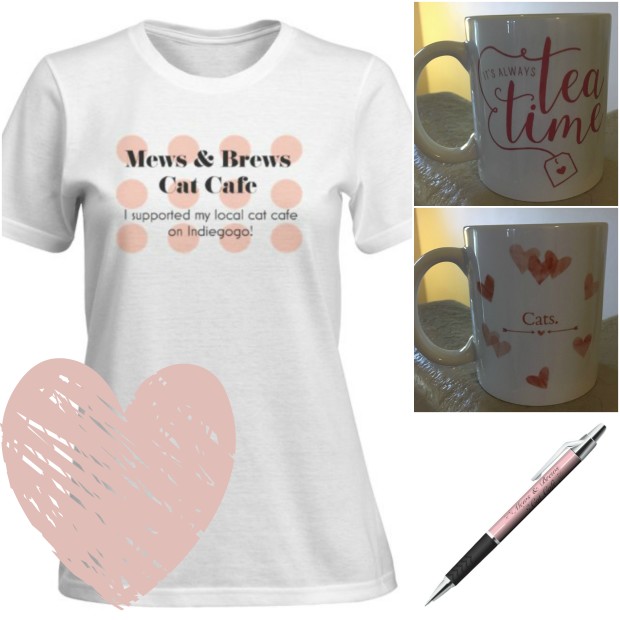 Mews & Brews Cat Cafe Downtown Glendale, Arizona is getting a cat cafe