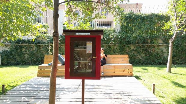 Little Free Libraries in Armenia and Artsakh! 2