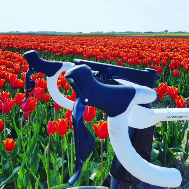 Project Updates for SpeedX Leopard first ever smart aero road bike on