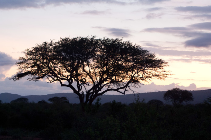 Conservation Revolution to Save Congo Rainforest | Indiegogo