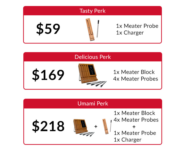MEATER The Only WireFree Smart Meat Thermometer Indiegogo