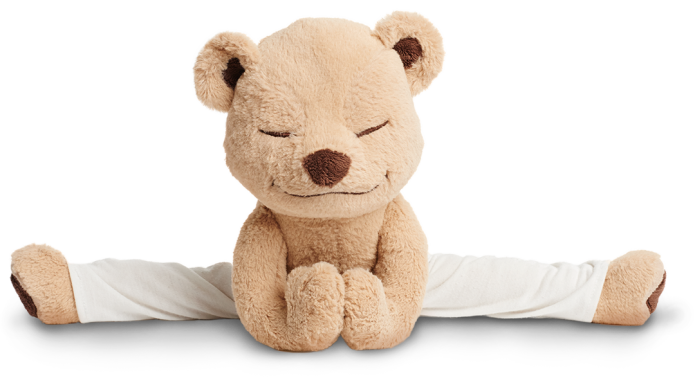 Meddy Teddy: The Yoga and Mindfulness Bear! | Indiegogo