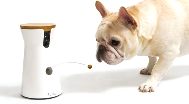 Furbo World S Best Treat Tossing Dog Camera Ingogo See How These Furry Lil Guys Use Furbo
