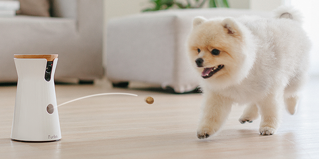 dog camera that throws treats