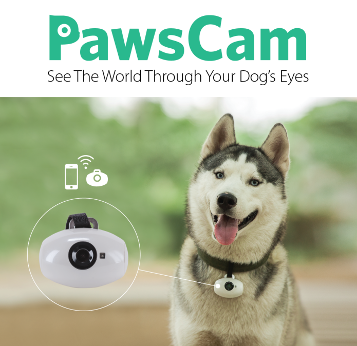 PawsCam - Smart, Wearable Camera for Your Dog | Indiegogo