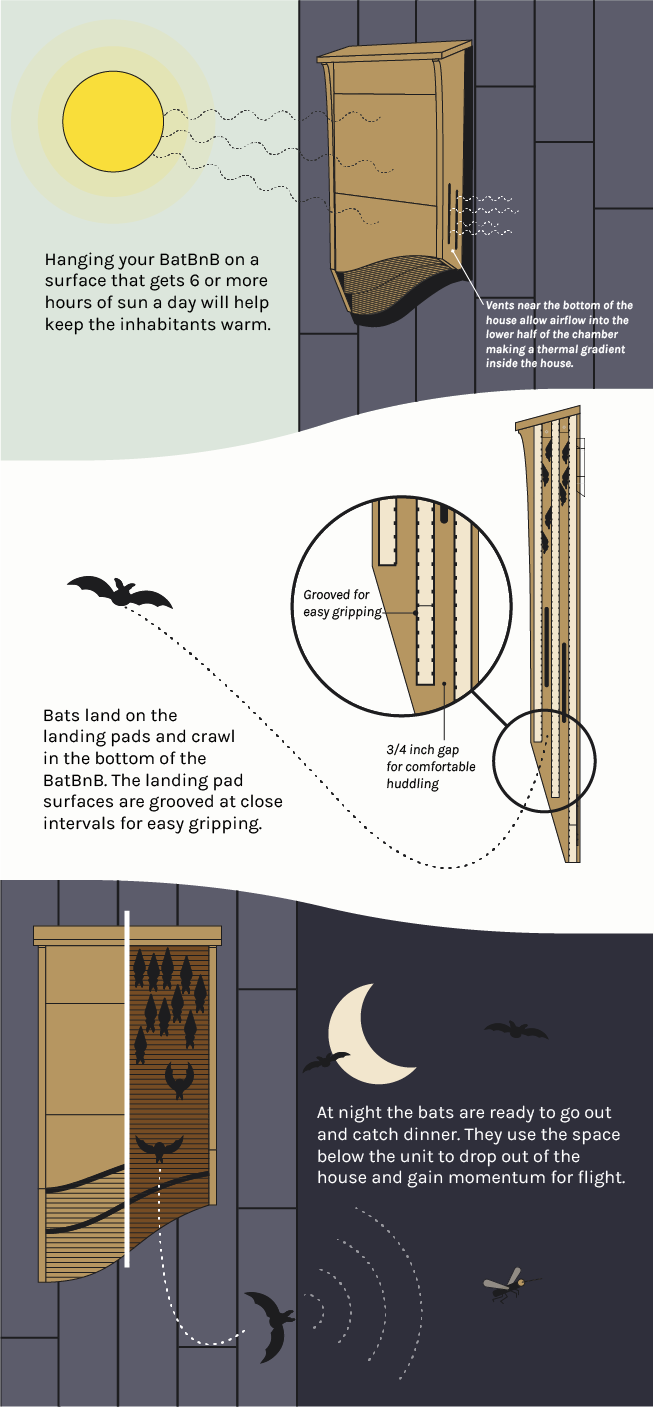 Batbnb Eliminate Pests While Preserving Wildlife Ingogo All Our Product Specifications Are Based On Decades Of Scientific Research Into The Most Successful Bat Houses As Well Cutting Edge Input From