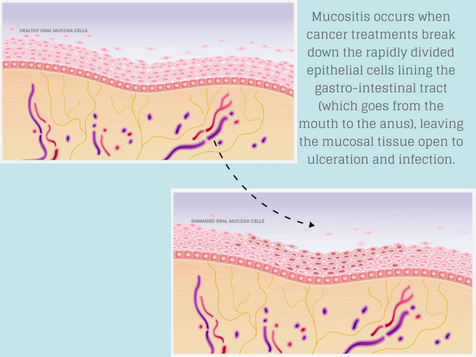 Tarika Mouth Paint Contribution Section