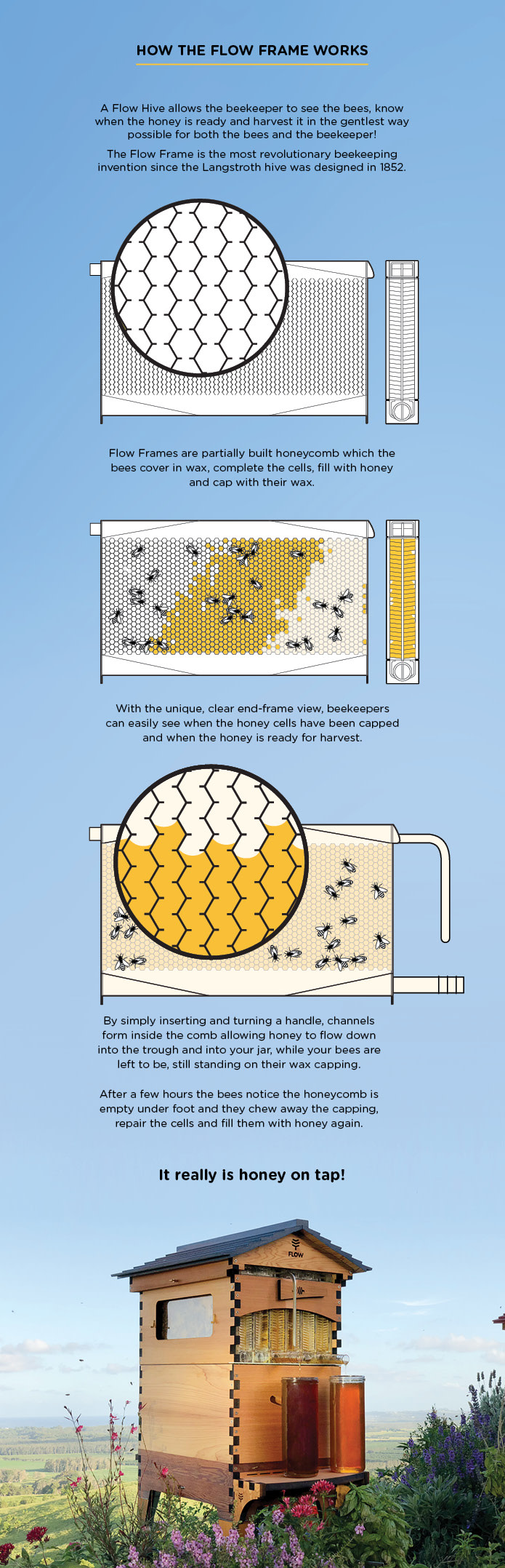 Flow Hive 2 Indiegogo