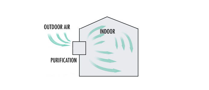 Backit Com Hootim A Breath Of Fresh Air