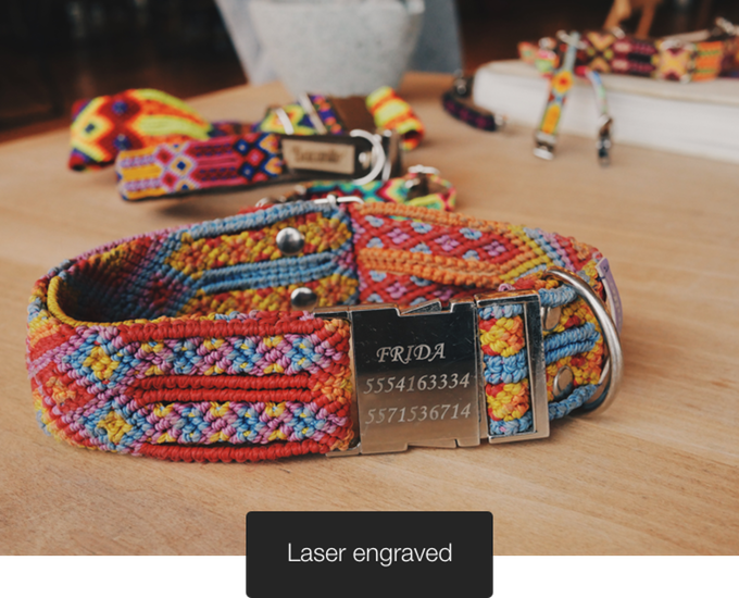 A dog collar that promotes cultural inclusion Indiegogo