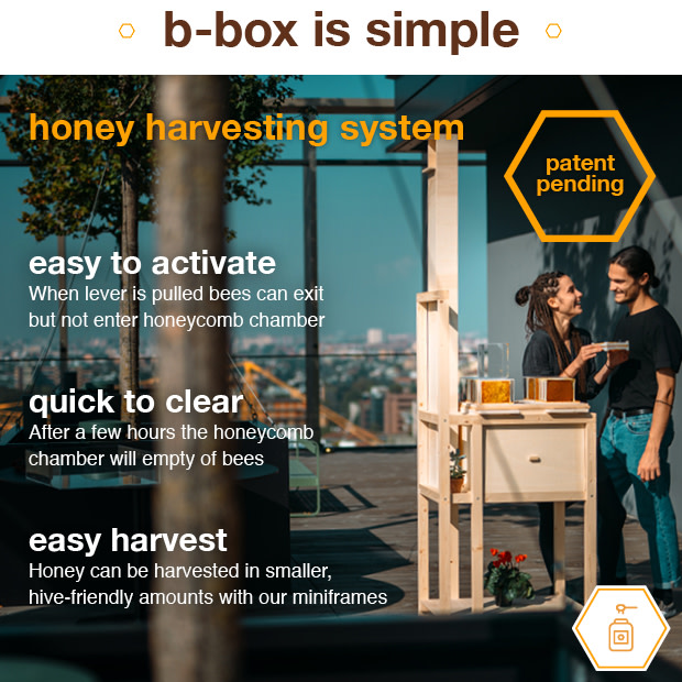 B-box: 1st Ever Hive Designed For Home Beekeeping | Indiegogo