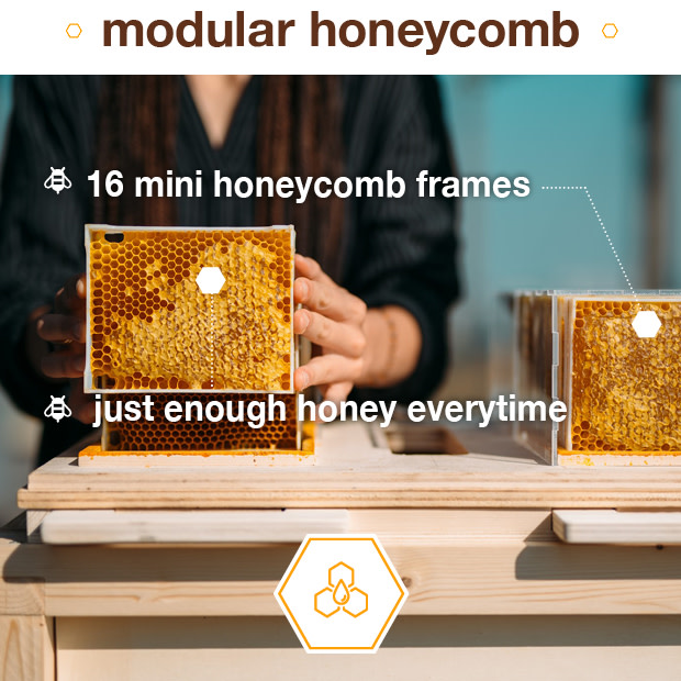 B-box: 1st Ever Hive Designed For Home Beekeeping | Indiegogo