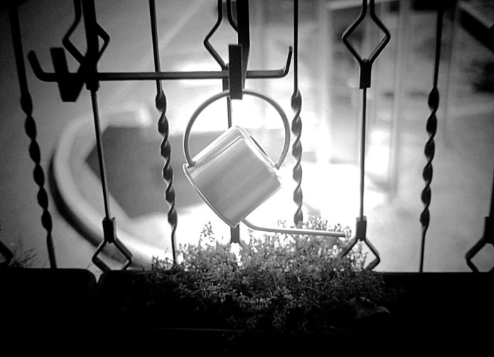 I'm Back Low cost Medium Format digital back Indiegogo