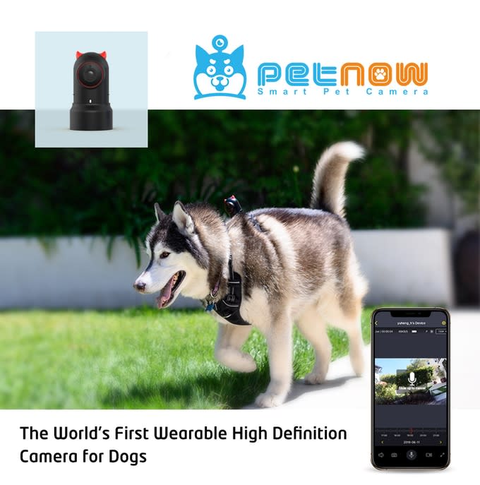 Wearable best sale pet camera