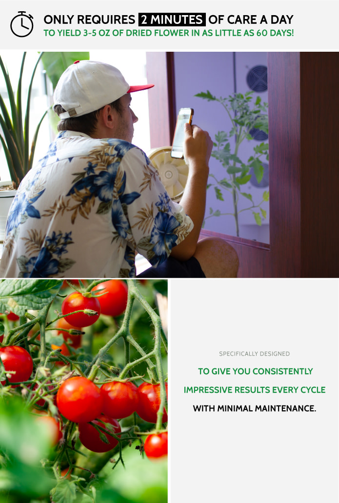 The Armoire Grow Discreetly Like A Pro Indiegogo