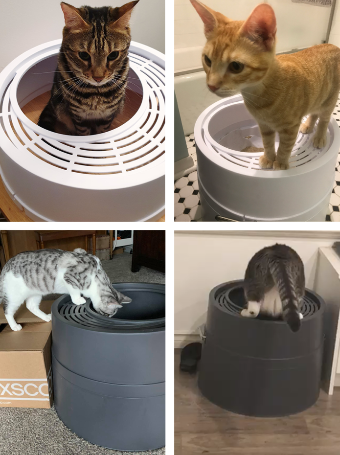 Boxscoop 2.0: The 6 second cat litter box – Boxscoop Designs Inc.