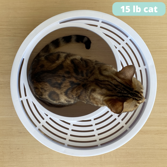 Boxscoop 2.0: The 6 second cat litter box – Boxscoop Designs Inc.